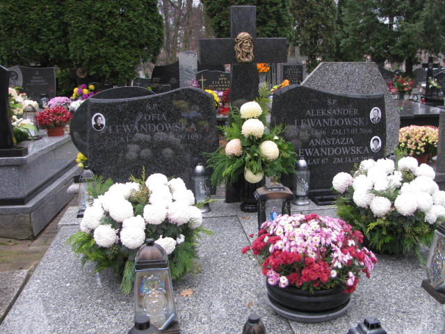 Grób Aleksander Lewandowski