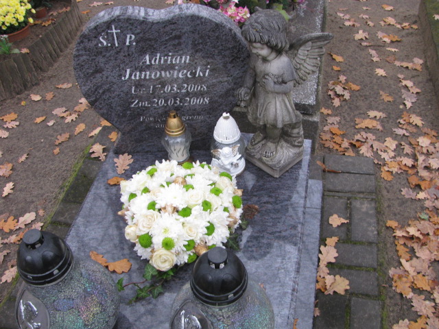 Grób Adrian Janowiecki